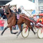 Inför V86: Han håller henne som det snabbaste sto han har kört Han håller henne som det snabbaste sto han har kört