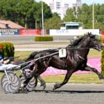 Inför V75: Odd Herakles kan vara kallblodsvärldens etta Odd Herakles kan vara kallblodsvärldens etta