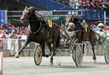 Inför V86: Olle Alsén reser långt för att starta sin supersprinter Olle Alsén reser långt för att starta sin supersprinter