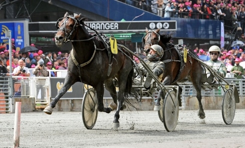 Olle Alsén reser långt för att starta sin supersprinter