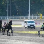 Topphästar kvalade in till Europaderbyt Topphästar kvalade in till Europaderbyt