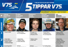 Fem tippar V75 till Solänget Lördag 7 september 2019 Fem tippar V75 till Solänget Lördag 7 september 2019
