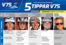 Fem tippar V75 till Jägersro lördag 26 oktober 2019 5-tippar-v75-jägersro-26-oktober-2019