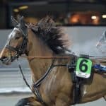 Inför V75: Dubbla chanser för stall Nurmos Inför V75: Dubbla chanser för stall Nurmos