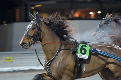 Inför V75: Dubbla chanser för stall Nurmos