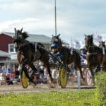Inför V75 Jackpot: Milligan’s School har en lämplig uppgift Inför V75 Jackpot Milligan’s School har en lämplig uppgift