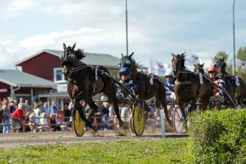 Inför V75 Jackpot Milligan’s School har en lämplig uppgift