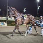 Knasig Dubbel gav historiskt DD-odds Knasig Dubbel gav historiskt DD-odds