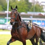Masters-finalen 2020 kommer att köras på Solvalla Masters-finalen 2020 kommer att köras på Solvalla