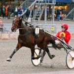 Inför V75 Söndag: Stefan Melander har laddat Inför V75 Söndag: Stefan Melander har laddat