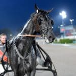 Inför V75: Åtta SM-guld ska delas ut Inför V75: Åtta SM-guld ska delas ut