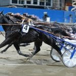 Inför V75: En järnhäst som bara blivit bättre med åren