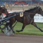 Inför V86: Han har vunnit tre av fyra starter Han har vunnit tre av fyra starter