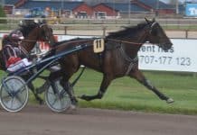 Inför V86: Han har vunnit tre av fyra starter Han har vunnit tre av fyra starter