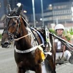 Kvaldags i landets äldsta unghästlopp Kvaldags i landets äldsta unghästlopp