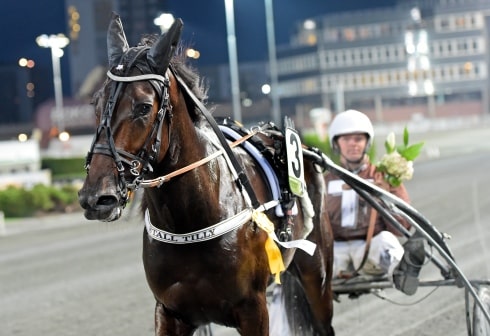 Kvaldags i landets äldsta unghästlopp