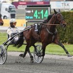 Inför V75: Spelarna har en delikat uppgift att lösa Spelarna har en delikat uppgift att lösa
