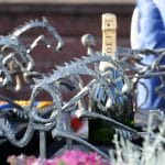 Statistiken kring söndagens BC-finaler på V75 Statistiken kring söndagens BC-finaler på V75