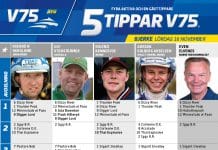 Fem tippar V75 till Bjerke 16 november 2019 Fem tippar V75 till Bjerke 16 november 2019