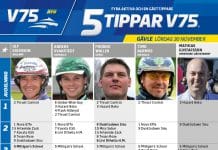 Fem tippar V75 till Gävle Lördag 30 november 2019 Fem tippar V75 till Gävle Lördag 30 november 2019