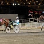 Inför V86 Superjackpot: Pastorns Lady kan vara spiken Pastorns Lady kan vara spiken