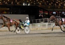 Inför V86 Superjackpot: Pastorns Lady kan vara spiken Pastorns Lady kan vara spiken