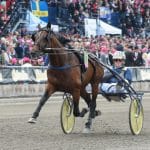 Svensk travstjärna gör avelssuccé ”Down under” Svensk travstjärna gör avelssuccé