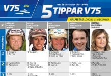 Fem tippar V75 till Halmstad 21 december 2019 Fem tippar V75 till Halmstad 21 december 2019