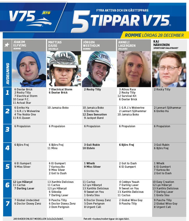 Fem tippar V75 till ROMME Lördag 28 december 2019