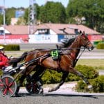 Bold Eagle till Elitloppet? Bold Eagle till Elitloppet?