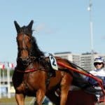 Inför V86 Jackpot: ”Concrete Dee ska absolut vara med” Concrete Dee ska absolut vara med