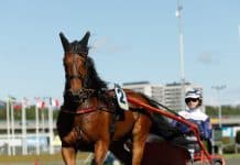 Inför V86 Jackpot: ”Concrete Dee ska absolut vara med” Concrete Dee ska absolut vara med