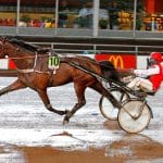 Inför V75: Sandra Luomala tror på tredje raka segern Sandra Luomala tror på tredje raka segern