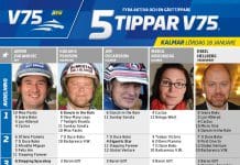 Fem tippar V75 till Kalmar 18 januari 2020 Fem tippar V75 till Kalmar 18 januari 2020