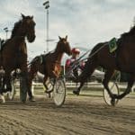 Grand Slam 75 Nyheter Grand Slam 75 Nyheter