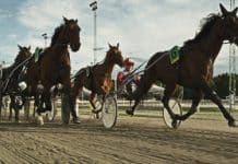 Grand Slam 75 Nyheter Grand Slam 75 Nyheter