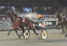 Inför GS75: Nydanande spelinformation Inför GS75: Nydanande spelinformation