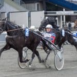 Inför V86: Opolerade talangen jagar tredje raka Inför V86: Opolerade talangen jagar tredje raka