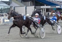 Inför V86: Opolerade talangen jagar tredje raka Inför V86: Opolerade talangen jagar tredje raka