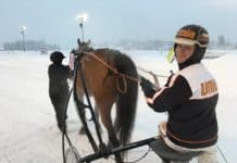 Inför V86: ”Väldigt stora förhoppningar” Robert Dunder
