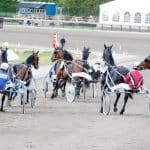 Unik statistik – Springspårsspecialisterna Unik statistik - Springspårsspecialisterna