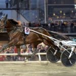 Unik statistik: Toppkuskarnas favoritvagnar Unik statistik: Toppkuskarnas favoritvagnar