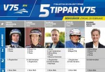 Fem tippar V75 till Bergsåker 29 februari 2020 Fem tippar V75 till Bergsåker 29 februari 2020