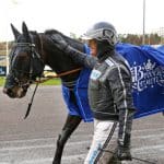 Det blir stjärntätt under lördagens V75-tävlingar Det blir stjärntätt under lördagens V75-tävlingar