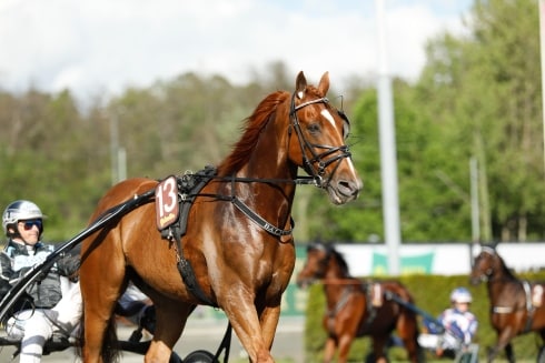 Inför GS75: Bergh luftar segerrike Balfour