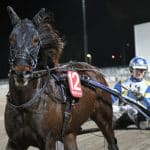 Kan detta vara en chansspik på V75? http://andelsspel.spelguiden.se/tipsaren-har-klart-for-sig-till-v75-halmstad/