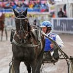 Makethemark gör årsdebut i V86 på Solvalla Makethemark årsdebut i V86® på Solvalla