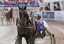 Makethemark gör årsdebut i V86 på Solvalla Makethemark årsdebut i V86® på Solvalla