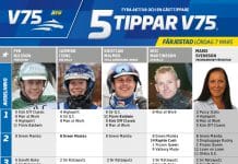Fem tippar V75 till Färjestad 7 mars 2020 Fem tippar V75 till Färjestad 7 mars 2020