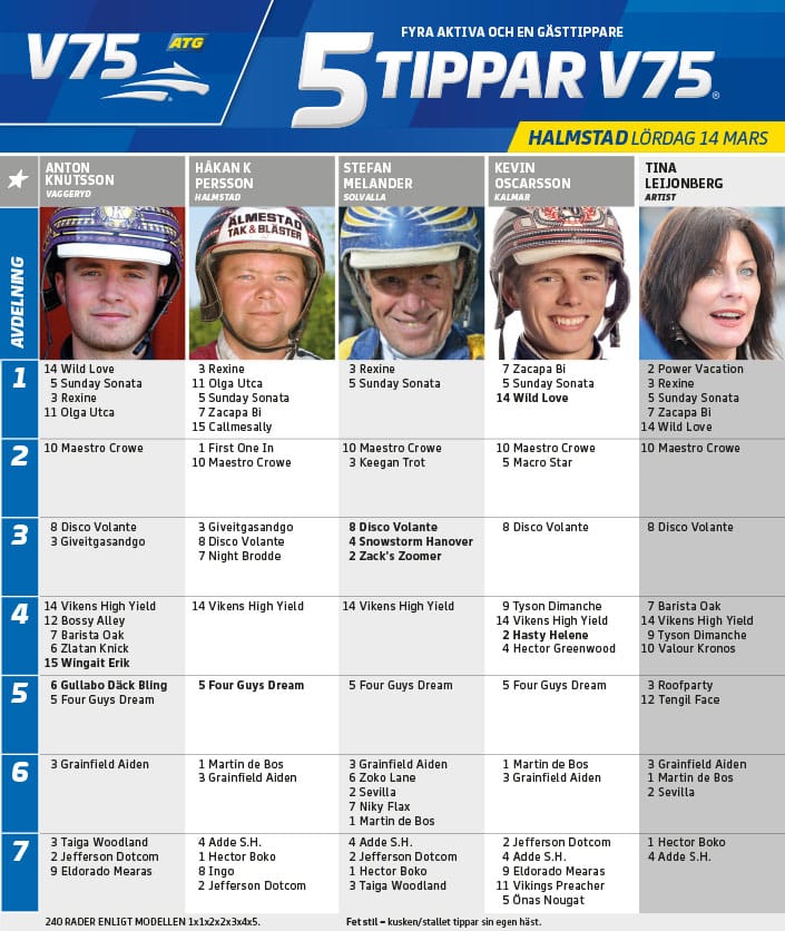 Fem tippar V75 till Halmstad 14 mars 2020